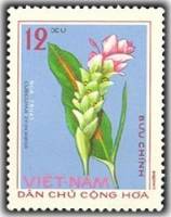(1975-010) Марка Вьетнам "Куркума цедоария"   Лечебные растения III Θ