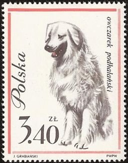 (1963-012) Марка Польша &quot;Польская подгалянская овчарка&quot;   Собаки III Θ