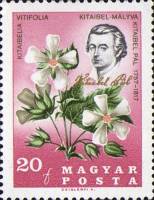 (1967-82) Марка Венгрия "П. Китайбель и Китайбела витифолия"    Цветы Карпатского бассейна. 150 лет 