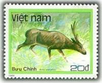 (1988-099) Марка Вьетнам "Свиной олень"    Дикие животные III O