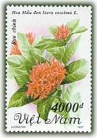 (1992-078) Марка Вьетнам "Иксора кокцинея"    Цветы III Θ