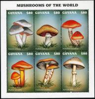 (№1997-5925) Лист марок Гайана 1997 год "Грибы", Гашеный