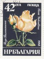 (1985-058) Марка Болгария "Роза Валентина"   Розы III Θ