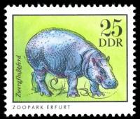 (1975-025) Марка Германия (ГДР) "Карликовый бегемот"    Животные зоопарка III Θ