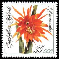 (1989-068) Марка Германия (ГДР) "Волшебный огонь"    Кактусы II O