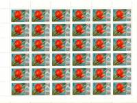 1978-031  Лист (36 м 6х6) СССР Тюльпан Большой театр  Цветы Москвы III O