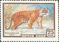 1959-055 Марка СССР Уссурийский тигр   Фауна III O