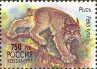 1997-045 Марка Россия Бжег  Фауна России III O