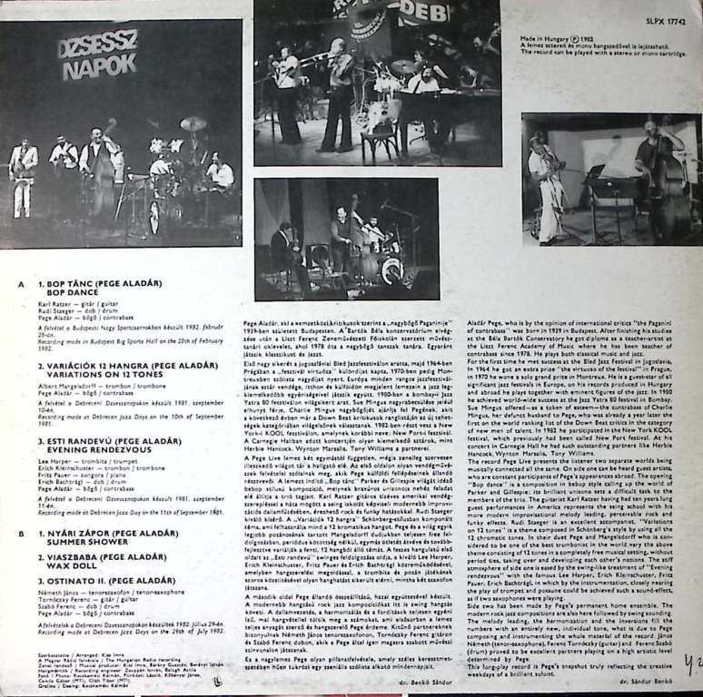 Пластинка виниловая Pege Live SLPX 300 мм. Excellent