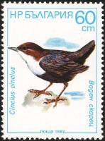 (1987-077) Марка Болгария "Белогорлый ковшик"   Птицы II Θ