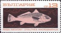 (1969-104) Марка Болгария "Рыба-капитан"   Океанское рыболовство III Θ