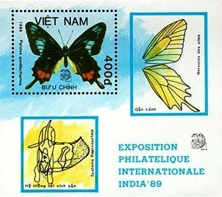 (1989-010) Блок марок  Вьетнам "Кубинское сердце скота"    Бабочки III &Theta;