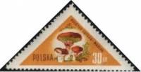 (1959-009) Марка Польша "Маслёнок"   Грибы III Θ