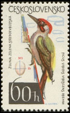 (1964-051) Марка Чехословакия &quot;Дятел&quot; ,  III O