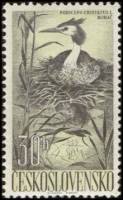 (1960-054) Марка Чехословакия "Большая поганка"   Водоплавающие птицы III Θ