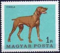 (1967-036) Марка Венгрия "Венгерская выжла"    Собаки II Θ