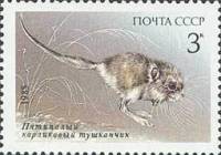 1985-071 Марка СССР Тушканчик  Красная книга СССР III O