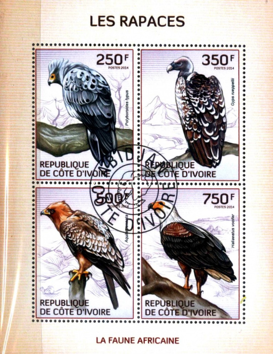 (№2014-1554) Лист марок Кот-д’Ивуар 2014 год &quot;Хищные птицы&quot;, Гашеный