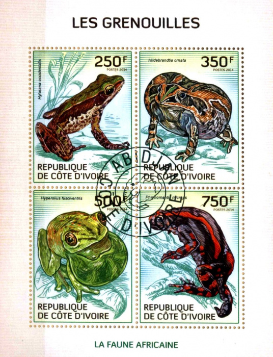 (№2014-1514) Лист марок Кот-д’Ивуар 2014 год &quot;Земноводные&quot;, Гашеный