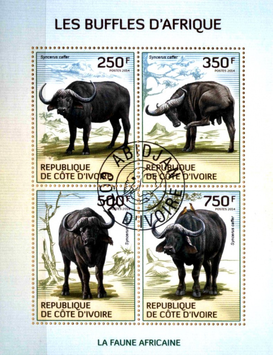 (№2014-1584) Лист марок Кот-д’Ивуар 2014 год &quot;Африканский буйвол Syncerus caffer&quot;, Гашеный