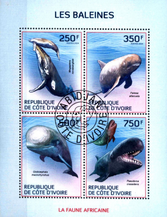 (№2014-1579) Лист марок Кот-д’Ивуар 2014 год &quot;Киты&quot;, Гашеный