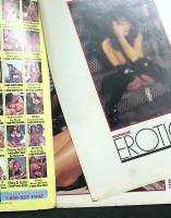 Журнал "Erotica" 1996 Август . Мягкая обл. 102 с. С цв илл
