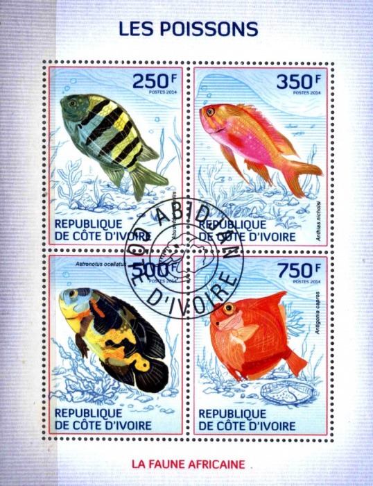 (№2014-1509) Лист марок Кот-д’Ивуар 2014 год &quot;Рыбы&quot;, Гашеный